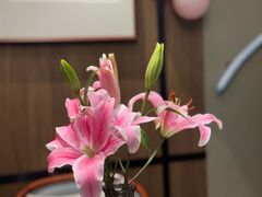 -柴火大院烤鸭民间菜