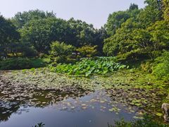 -杭州植物园