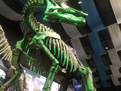 -诸城市恐龙博物馆
