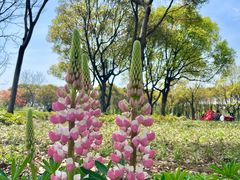 -渤公岛生态公园