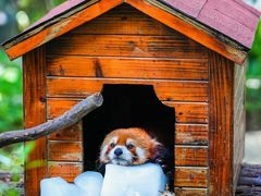 -常州淹城野生动物世界