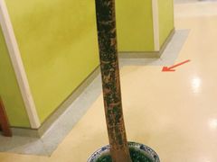 -爱康国宾体检中心(建国门分院)