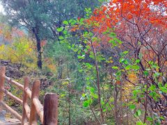 -龙洞风景区-藏龙涧