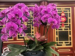 -同和居(什刹海店)