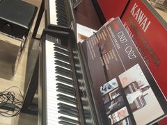 -柏斯音乐艺术中心·钢琴·吉他(世纪金源店)