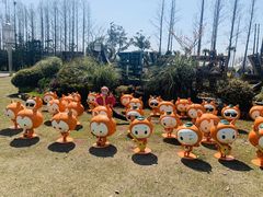 -上海长兴岛郊野公园