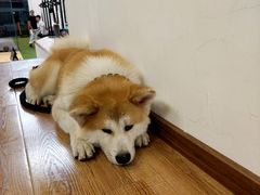-YCHL Studios健身工作室(市二宫店)