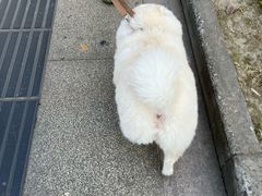 -万象影城(杭州万象城IMAX激光店)