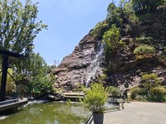 -雅苑中餐厅