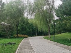 -北坞公园