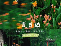 -重庆彩云湖湿地公园