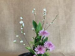 -荷兰布尔玛国际花艺学院