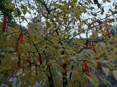 -金堂县云顶石城风景区