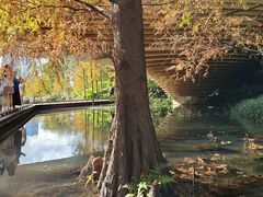 -云溪植物园