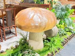 -菌彩云南野生菌火锅(新亚洲店)