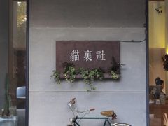 -猫里有甜