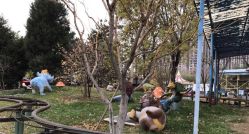 -大望京儿童游乐场