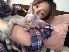 -山宅一喵德文卷毛猫舍