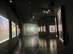 -罗红摄影艺术馆