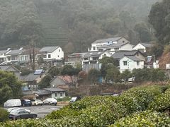 -龙井村