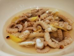 白灼八带-北塘海鲜·天津菜(大光明桥旗舰店)