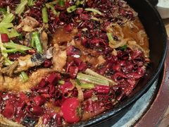 -老板恋上鱼(印象城店)