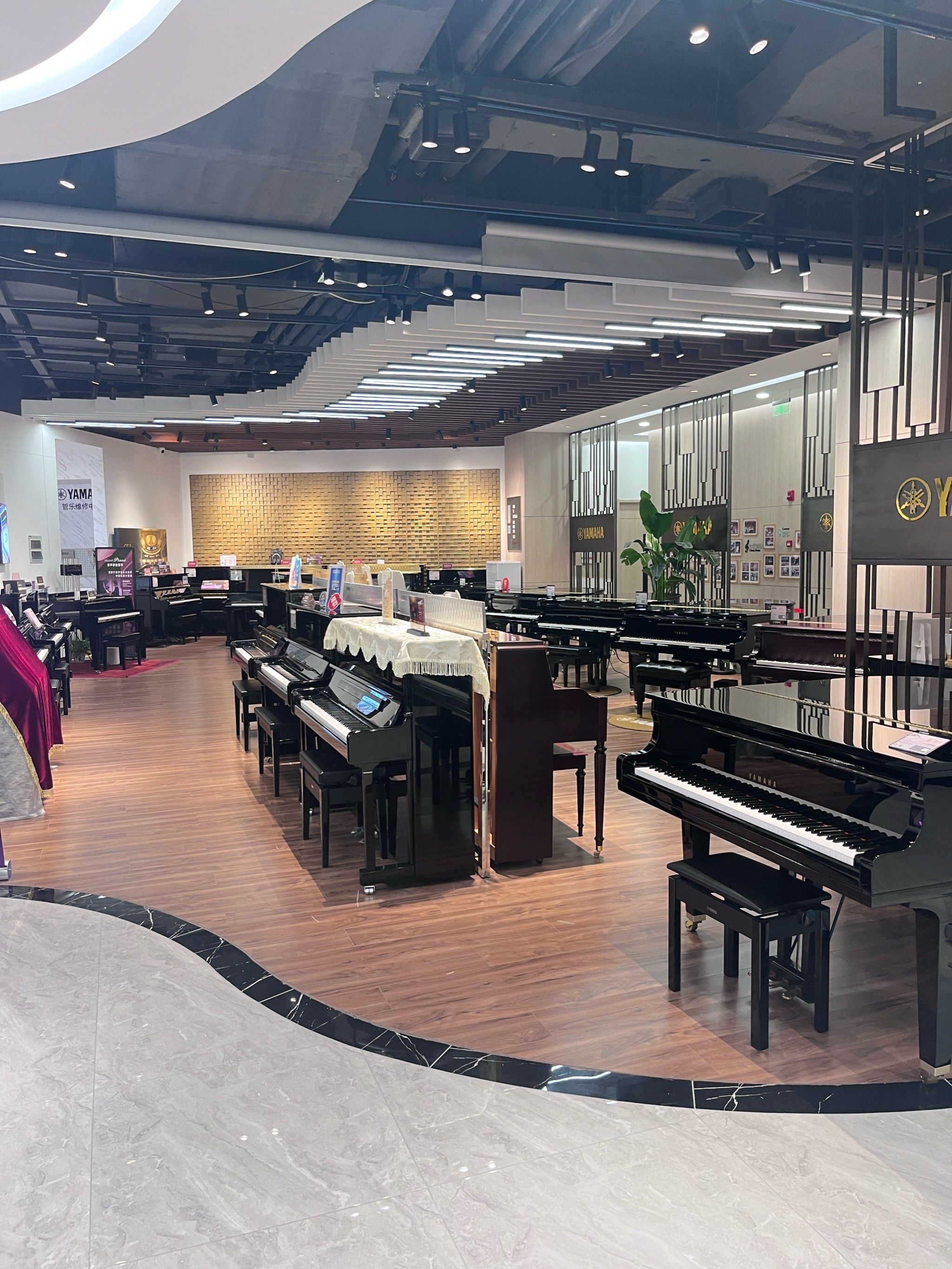 3 这里的钢琴老师也非常的专业,值得推荐.[比心]