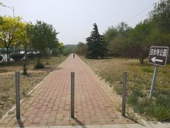 -白水寺森林公园