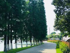 -太阳岛度假酒店