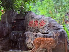 -野象谷景区