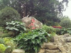 -乌山风景区