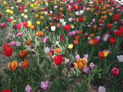 -长春公园(普阳街道)