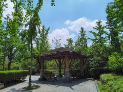 -黄兴公园