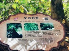 -南山植物园