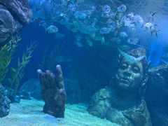 -暹罗海洋世界