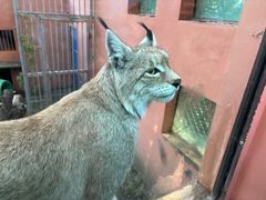 -青藏高原野生动物园
