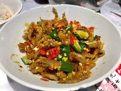鸭掌筋-壹盏灯(惠农店)