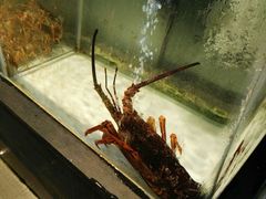 -悦港(悦港酒店)