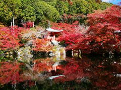 -醍醐寺
