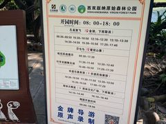 -西双版纳原始森林公园