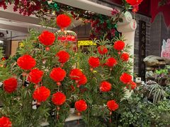 -红鼎坊·老成都火锅(新南门店)