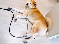 -YCHL Studios健身工作室(市二宫店)