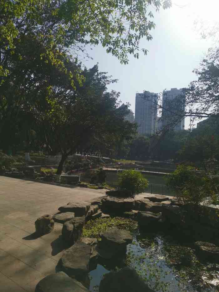 渝高公园-"渝高公园就在劲力酒店旁边,这个公园春天来.
