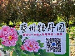 -曹州牡丹园