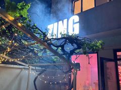 -ZING鲸鱼啤酒(葡萄院店)