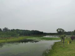 -东郊湿地公园