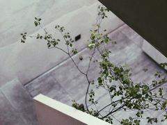 -SPARROW 家雀儿咖啡本店