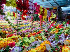 -吉祥圣雪藏餐