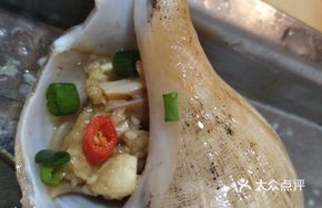 Garlic Sea Snail