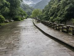 -牛背梁国家森林公园